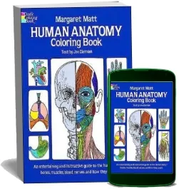 Human Anatomy download free [PDF and Ebook] by Margaret Matt year 1982