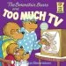 PDF Berenstain Bears and too Much tv by Jan Berenstain