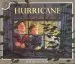 PDF Hurricane by David Wiesner