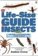 PDF The Life-Size Guide to Insects by Andrew Crowe