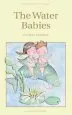 PDF The Water Babies by Charles Kingsley Jr.