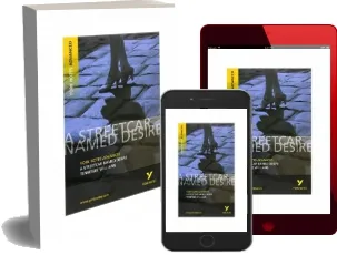 Streetcar Named Desire: York Notes Advanced download free [PDF and Ebook] by T. Williams year 2003