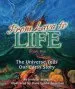 PDF From Lava to Life: Book Two: The Universe Tells our Earth Story by Jennifer Morgan