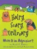 PDF Hairy Scary Ordinary - What is an Adjective ? by Brian Cleary