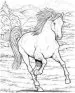 PDF Wonderful World of Horses Coloring Book by John Green