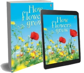 How Flowers Grow download free [PDF and Ebook] by Emma Helbrough year 2006