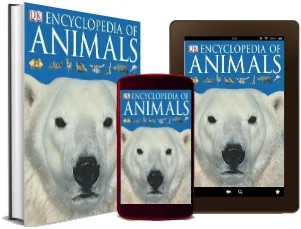 Encyclopedia of Animals download free [PDF and Ebook] by Dk year 2006