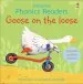 PDF Goose on the Loose Phonics Reader by Phil Roxbee Cox