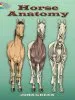 PDF Horse Anatomy Coloring Book by John Green