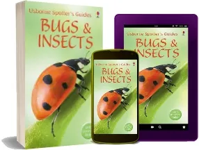 Bugs and Insects download free [PDF and Ebook] by Anthony Wootton year 2006
