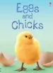 PDF Eggs and Chicks by Fiona Patchett