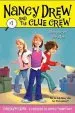PDF Sleepover Sleuths by Carolyn Keene