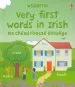 PDF Very First Words in Irish by Felicity Brooks