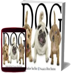 Dog download free [PDF and Ebook] by Matthew Van Fleet year 2007