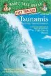 PDF Magic Tree House Fact Tracker #15 Tsunamis and Other Natural Disasters by Mary Pope Osborne