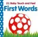 PDF Baby Touch and Feel First Words by Dk