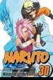 PDF Naruto, Vol. 30 by Masashi Kishimoto