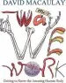 PDF Way we Work by David Macaulay