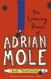 PDF The Growing Pains of Adrian Mole by Sue Townsend