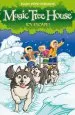 PDF Magic Tree House 12: Icy Escape! by Mary Pope Osborne