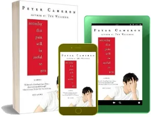 Someday This Pain Will be Useful to you download free [PDF and Ebook] by Peter Cameron year 2009