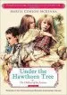 PDF Under the Hawthorn Tree by Marita Conlon Mckenna