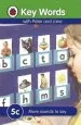 PDF Key Words: 5C More Sounds to say by W. Murray