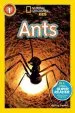PDF National Geographic Kids Readers: Ants by Melissa Stewart