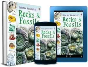 Naturetrail: Rocks and Fossils download free [PDF and Ebook] by Struan Reid year 2010