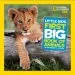 PDF Little Kids First big Book of Animals by Catherine D. Hughes