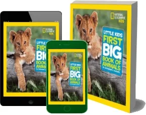 Little Kids First big Book of Animals download free [PDF and Ebook] by Catherine D. Hughes year 2010