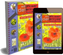Wildflower Detectives' Handbook download free [PDF and Ebook] by Camilla De La Bedoyere year 2010