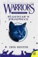PDF Warriors Super Edition: Bluestar'S Prophecy by Erin Hunter
