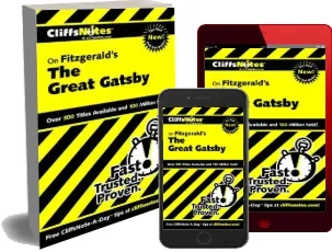 Notes on Fitzgerald'S 'Great Gatsby' download free [PDF and Ebook] by Phillip Northman year 2010