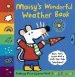 PDF Maisy'S Wonderful Weather Book by Lucy Cousins