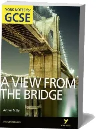 A View From the Bridge: York Notes for Gcse (Grades A*-G) download free [PDF and Ebook] by Shay Daly year 2011