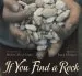 PDF If you Find a Rock by Peggy Christian