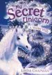 PDF My Secret Unicorn: A Winter Wish by Linda Chapman