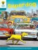 PDF Oxford Reading Tree: Level 9: Stories: Superdog by Roderick Hunt