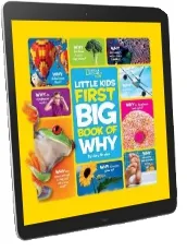 Little Kids First big Book of why download free [PDF and Ebook] by Amy Shields year 2011
