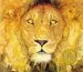 PDF The Lion & the Mouse by Jerry Pinkney