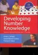 PDF Developing Number Knowledge: Assessment,Teaching and Intervention With 7-11 Year Olds by Robert J. Wright