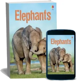 Elephants download free [PDF and Ebook] by James Maclaine year 2011