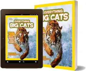 Everything big Cats: Pictures to Purr About and Info to Make you Roar! download free [PDF and Ebook] by Elizabeth Carney year 2011