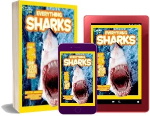 Everything Sharks: All the Shark Facts, Photos, and fun That you can Sink Your Teeth Into download free [PDF and Ebook] by Ruth Musgrave year 2011