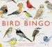 PDF Bird Bingo by Christine Berrie