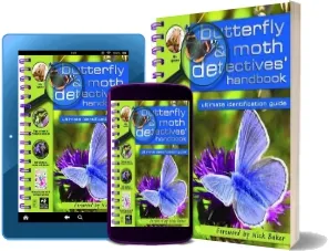 Butterfly and Moth Detective Handbook download free [PDF and Ebook] by Camilla De La Bedoyere year 2012