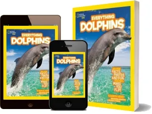 Everything Dolphins: Dolphin Facts, Photos, and fun That Will Make you Flip download free [PDF and Ebook] by Elizabeth Carney year 2012