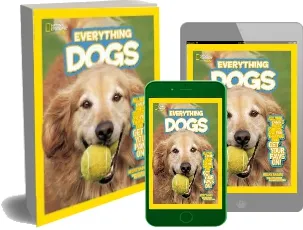 Everything Dogs: All the Canine Facts, Photos, and fun you can get Your Paws on! download free [PDF and Ebook] by Becky Baines year 2012