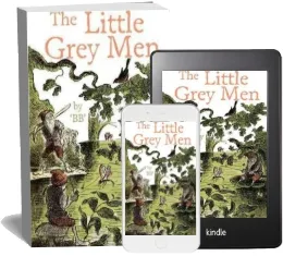 The Little Grey men download free [PDF and Ebook] by B.B year 2012